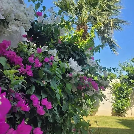 Center With Pool Leylacanhouse Villa Cesme